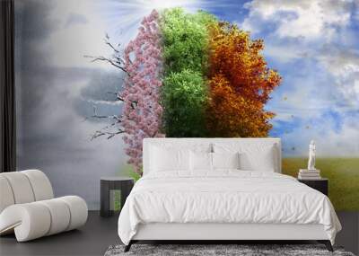 Four season tree, photo manipulation, magical, nature Wall mural