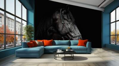 Portrait of a beautiful black stallion on a black background Wall mural