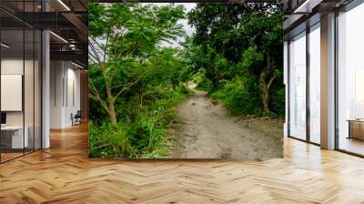 Taal Volcano on Luzon Island North of Manila in Philippines. Luzon Island. Wall mural