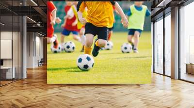 Football Training Camp. Football soccer children training class. Kids practicing football on grass field. Group of school children running and kicking soccer balls Wall mural