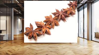 anise stars Wall mural