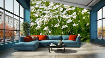 White flowers in the spring forest Wall mural