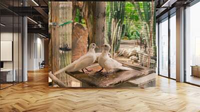 two pigeons in a cage Wall mural