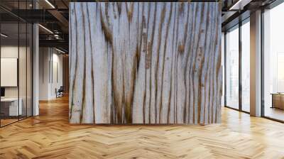 Faded Wood Texture Wall mural