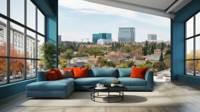 Day time view of the downtown skyline of Costa Mesa, California, USA. Wall mural