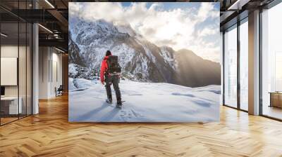 Mountain Guide, Franz Josef Glacier, New Zealand Wall mural