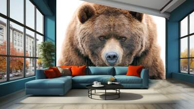 brown bear isolated on white Wall mural