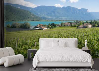 Amazing landscape at the vineyards of the Trentino Alto Adige in Italy. The wine route. Natural contest. Rows of vineyards. South Tyrolean wine culture Wall mural