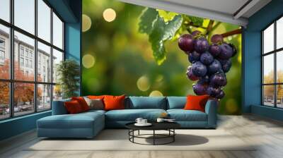 A beautiful grape glistens on the tree, adorned with dew Wall mural