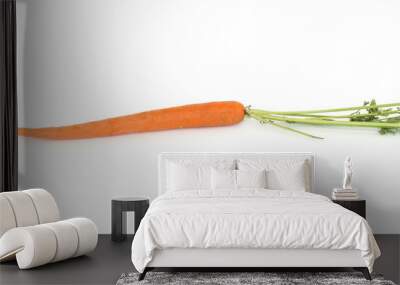 Carrot Wall mural