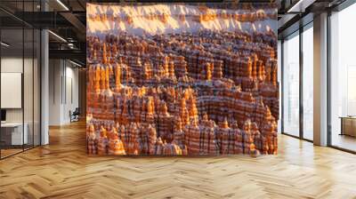 Bryce Canyon amphitheater first light Wall mural