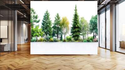 Green tree border. Forest foliage and coniferous plants in row. Mixed wood panorama with stylized fir, poplar trunks and crowns. Flat vector illustration of woodland isolated on white background. Wall mural