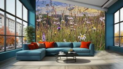 old hay meadow with wild flowers in the sussex weald Wall mural