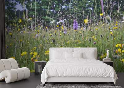 Wild Flower hay Meadow in the Sussex High Weald Wall mural