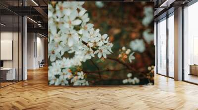 Peach Blossoms in the Spring 2 Wall mural