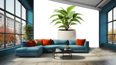 Lush green potted plant isolated on white background. Wall mural