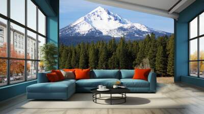 Mt. Mcloughlin Oregon Wall mural