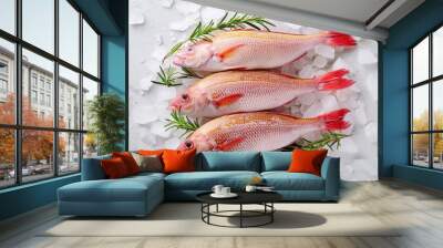 Three red mullet fish on ice, pinkish-white skin, vivid red fins, fresh seafood, arranged with rosemary, clean presentation, ready for cooking Wall mural