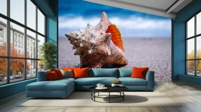 conch shell on beach in summer time Wall mural