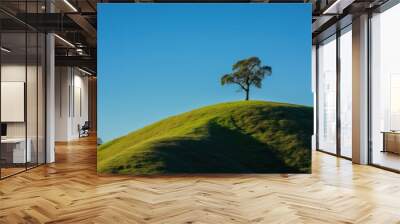 A hyperrealistic capture of a lone tree on a hilltop, surrounded by rolling green hills, under a clear blue sky, representing the simplicity and beauty of nature, in hyperrealistic 8k detail Wall mural