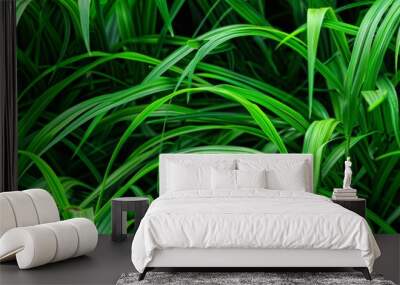 A repeating texture of gras Wall mural