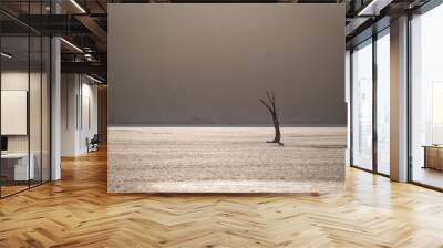 Deadvlei Tree Wall mural