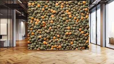 Full screen top view of dried lentils with shades of green and brown Wall mural