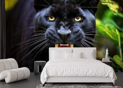 Panther cat in the jungle Wall mural