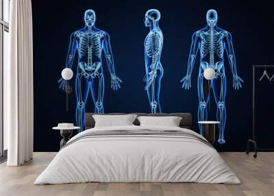 Accurate xray image of human skeletal system with adult male skeleton and body contours on blue background 3D rendering illustration. Anatomy, medical, healthcare, science, osteology, concept. Wall mural