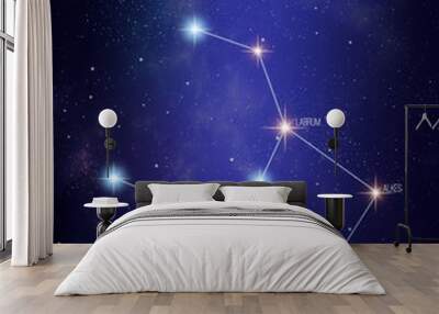 Crater the cup constellation on a starry space background with the names of its main stars. Relative sizes and different color shades based on the spectral star type. Wall mural