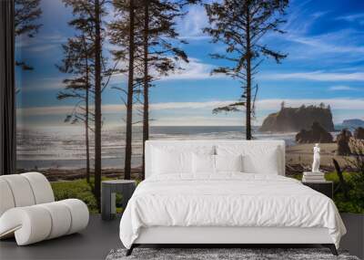 Ruby Beach landscape with some silhouetted conifers in the foreground on a sunny day, Olympic National Park, Washington state, USA. Wall mural