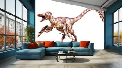 Running Velociraptor mongoliensis isolated on white background. Theropod dinosaur with feathers from Cretaceous period scientific 3D rendering illustration Wall mural