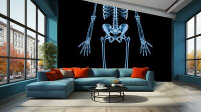 Xray image of anterior or front view of full human skeletal system or skeleton isolated on black background 3D rendering illustration. Medical, healthcare, anatomy, osteology, science concept. Wall mural