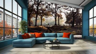 view of the park on a sunny day. Wall mural