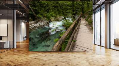 Vintgar Gorges Park a few km from Lake Bled, Slovenia. Wooden walkways accompany the path above the river rapids and waterfalls. River hits rocks and creates fog.Adventure family holidays. Freshness. Wall mural