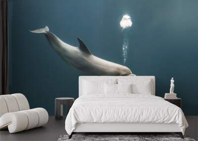 Bottlenose dolphin blowing bubbles Wall mural