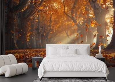 A beautiful pathway covered in autumn leaves with sunlight filtering through vibrant trees Wall mural