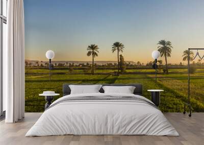 Lush fields along river Nile in Egypt Wall mural