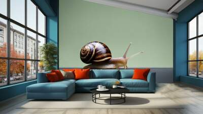 Snail crawling on the table. Isolated on green background. Wall mural