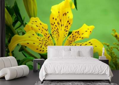 yellow lily flower Wall mural