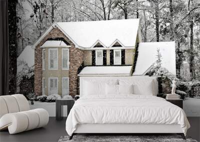 Winter Snow Wall mural