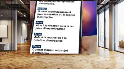 Un entrepreneur regarde les aides pour les créateurs ou repreneurs d'entreprise sur son téléphone nacre acre arce cape Wall mural