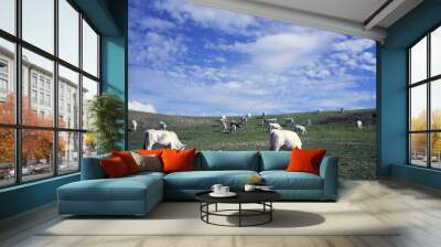 grazing cows 2 Wall mural