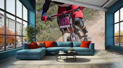 Downhill competition, Biker rides fast in the countryside. Wall mural