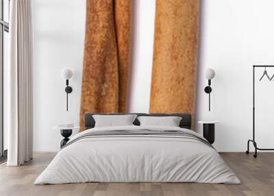 Two aromatic cinnamon sticks. Wall mural