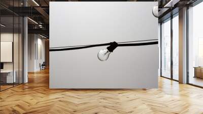 two lightbulbs Wall mural