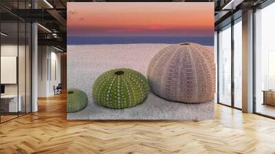 sea urchin and sunset Wall mural