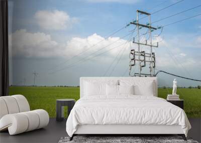 electricity high voltage power post  in paddy field Wall mural