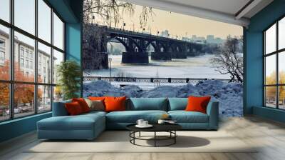 bridge ice river Wall mural