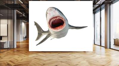 White shark is a marine predator with a large mouth and teeth. On the white background. Wall mural